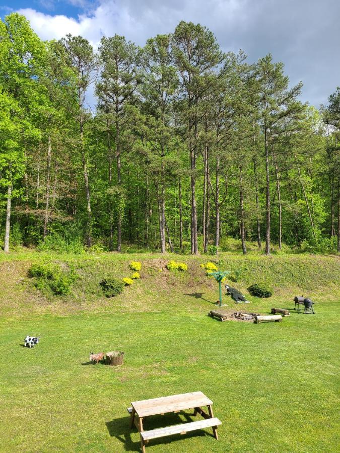 Blue Sky Inn- Complimentary Happy Hour Th-Sun, Veteran Owned, Full Breakfast, Best Green Space, 1 Mile From Blue Ridge, Fire Pit المظهر الخارجي الصورة
